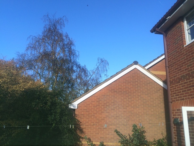 6115537E-73A8-4AB1-8D73-105F9B93D353 1 105 C