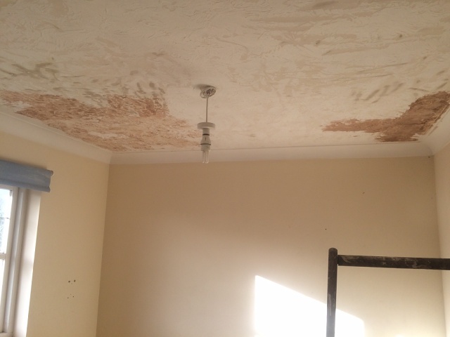 F9077EE7-BA66-4217-825B-D7ECE8EEEBA0 1 105 C